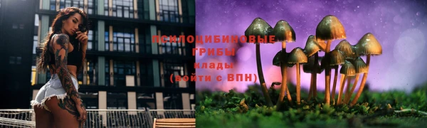 трава Нея