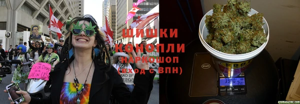 стафф Тында