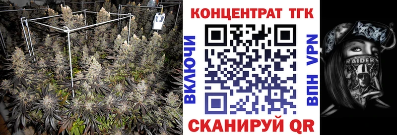 Дистиллят ТГК Wax Североморск