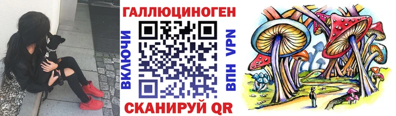 купить Североморск Галлюциногенные грибы мицелий